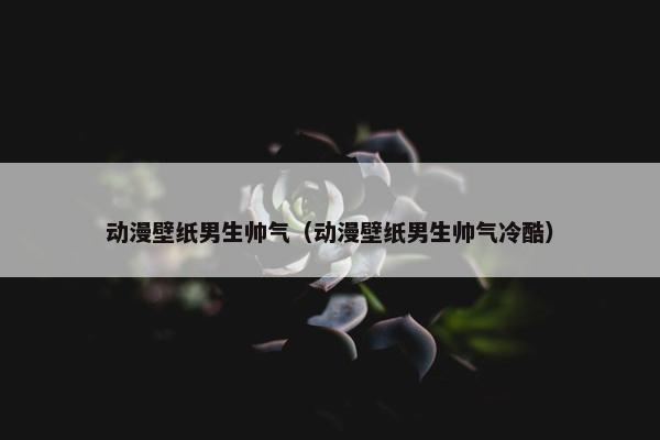动漫壁纸男生帅气（动漫壁纸男生帅气冷酷）