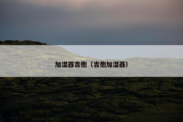 加湿器吉他（吉他加湿器）