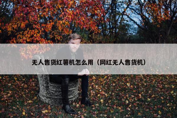 无人售货红薯机怎么用(网红无人售货机) 无人售货红薯机怎么用(网红无人售货机)