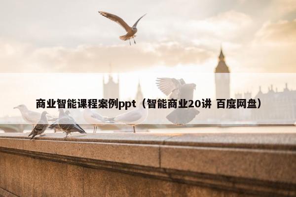商业智能课程案例ppt（智能商业20讲 百度网盘）