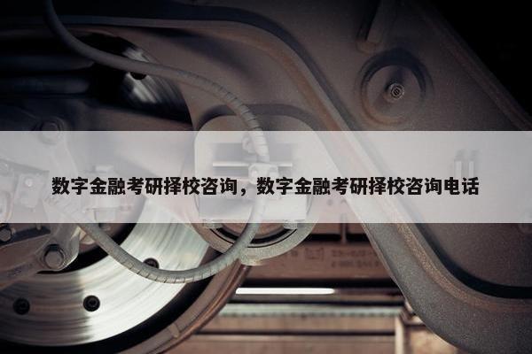数字金融考研择校咨询，数字金融考研择校咨询电话