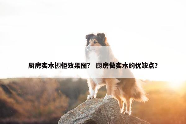 厨房实木橱柜效果图？ 厨房做实木的优缺点？