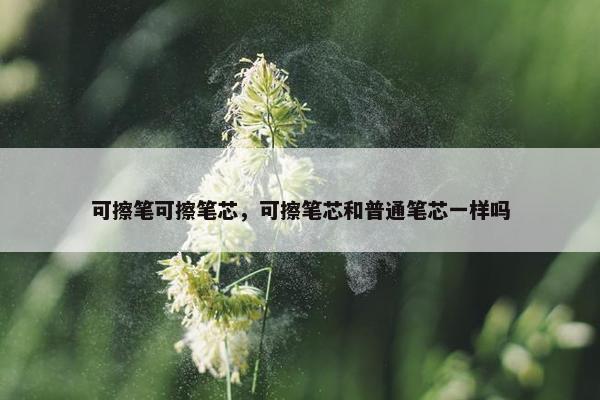 可擦笔可擦笔芯，可擦笔芯和普通笔芯一样吗