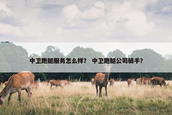 中卫跑腿服务怎么样？ 中卫跑腿公司骑手？