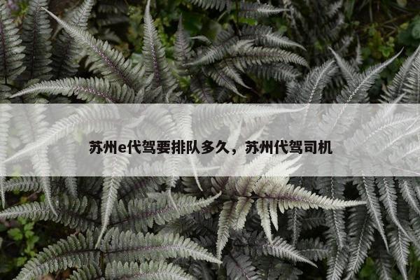 苏州e代驾要排队多久，苏州代驾司机