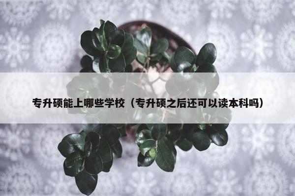 专升硕能上哪些学校（专升硕之后还可以读本科吗）