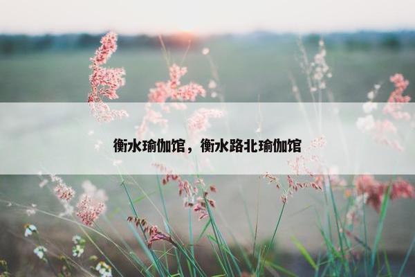 衡水瑜伽馆，衡水路北瑜伽馆