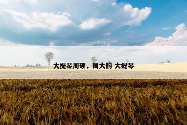 大提琴周硕,周大韵 大提琴 大提琴周硕,周大韵 大提琴