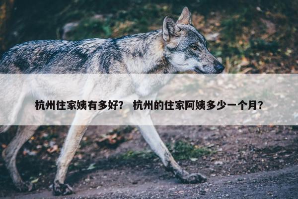 杭州住家姨有多好? 杭州的住家阿姨多少一个月? 杭州住家姨有多好? 杭州的住家阿姨多少一个月?