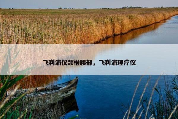 飞利浦仪颈椎腰部，飞利浦理疗仪