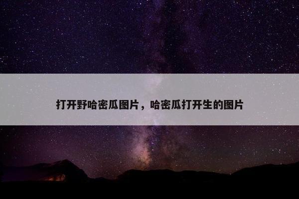 打开野哈密瓜图片，哈密瓜打开生的图片