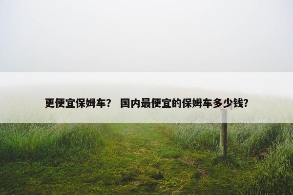 更便宜保姆车? 国内最便宜的保姆车多少钱? 更便宜保姆车? 国内最便宜的保姆车多少钱?