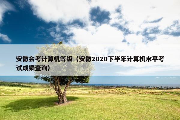 安徽会考计算机等级（安徽2020下半年计算机水平考试成绩查询）