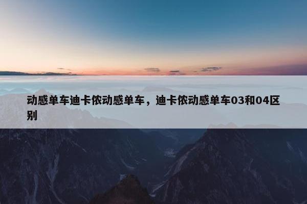 动感单车迪卡侬动感单车，迪卡侬动感单车03和04区别