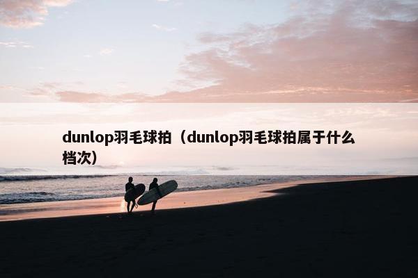 dunlop羽毛球拍（dunlop羽毛球拍属于什么档次）