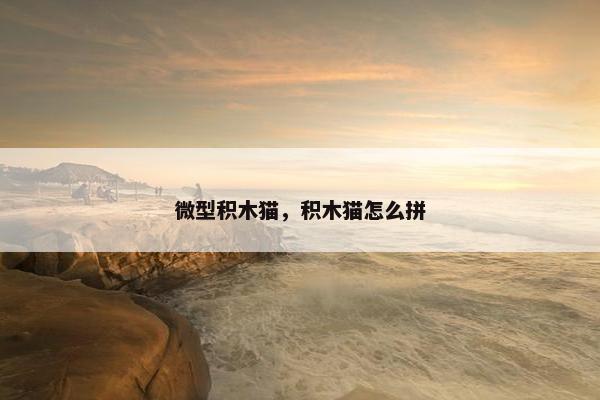 微型积木猫,积木猫怎么拼 微型积木猫,积木猫怎么拼