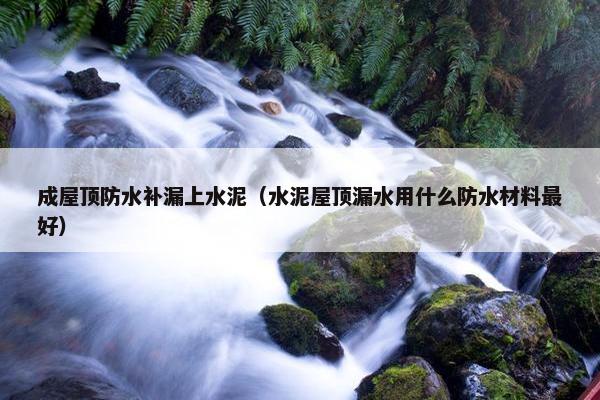 成屋顶防水补漏上水泥（水泥屋顶漏水用什么防水材料最好）