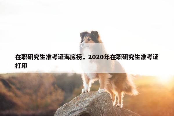 在职研究生准考证海底捞，2020年在职研究生准考证打印