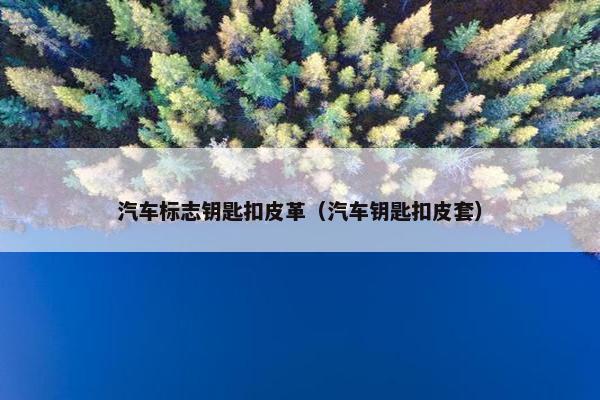 汽车标志钥匙扣皮革(汽车钥匙扣皮套) 汽车标志钥匙扣皮革(汽车钥匙扣皮套)