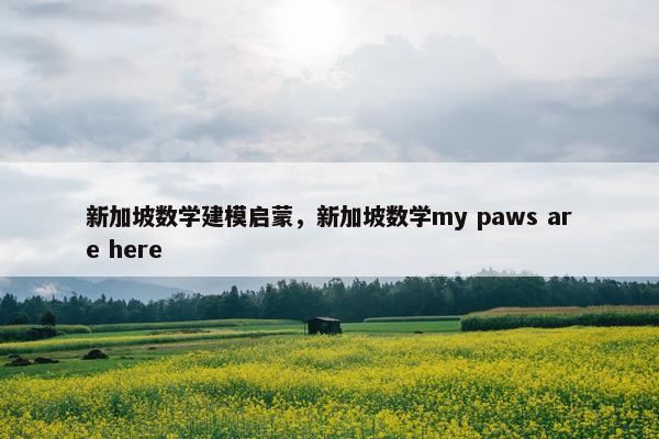 新加坡数学建模启蒙，新加坡数学my paws are here