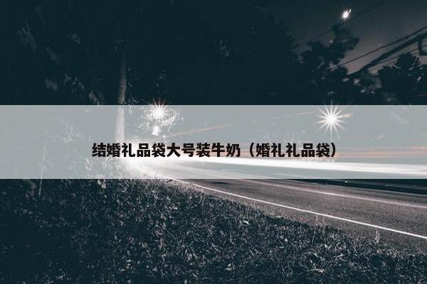 结婚礼品袋大号装牛奶（婚礼礼品袋）
