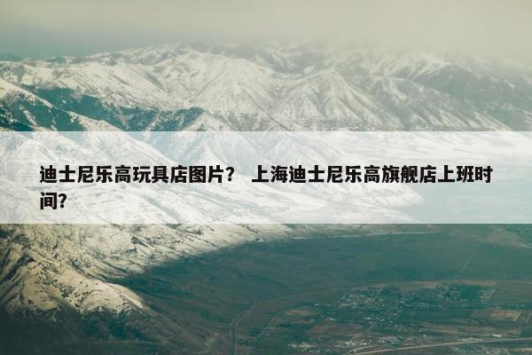 迪士尼乐高玩具店图片？ 上海迪士尼乐高旗舰店上班时间？