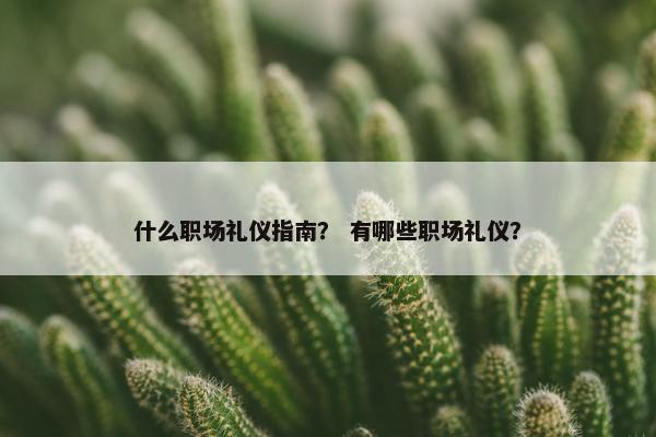 什么职场礼仪指南? 有哪些职场礼仪? 什么职场礼仪指南? 有哪些职场礼仪?