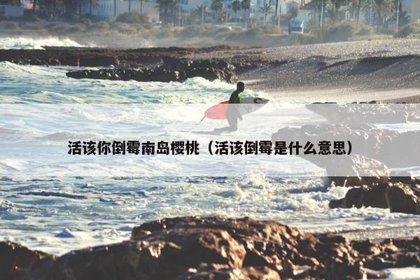 活该你倒霉南岛樱桃（活该倒霉是什么意思）