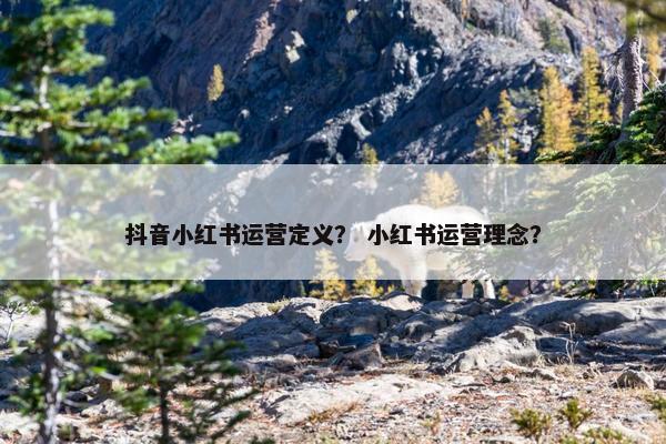 抖音小红书运营定义？ 小红书运营理念？