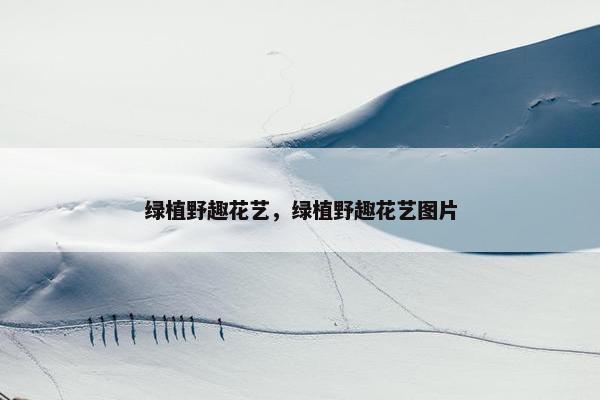 绿植野趣花艺，绿植野趣花艺图片