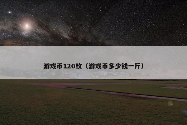 游戏币120枚（游戏币多少钱一斤）