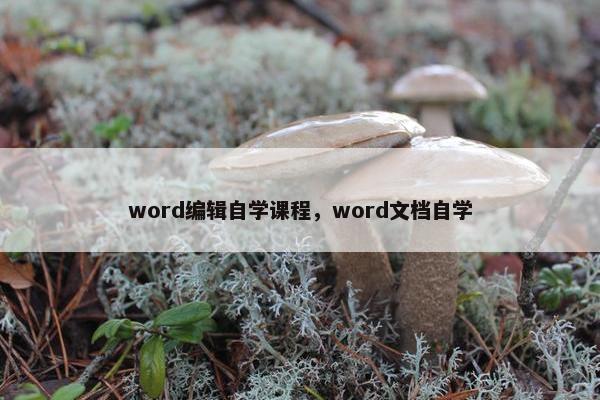 word编辑自学课程，word文档自学
