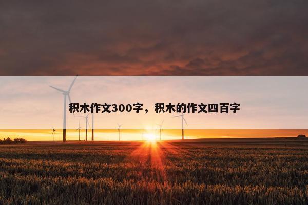 积木作文300字，积木的作文四百字