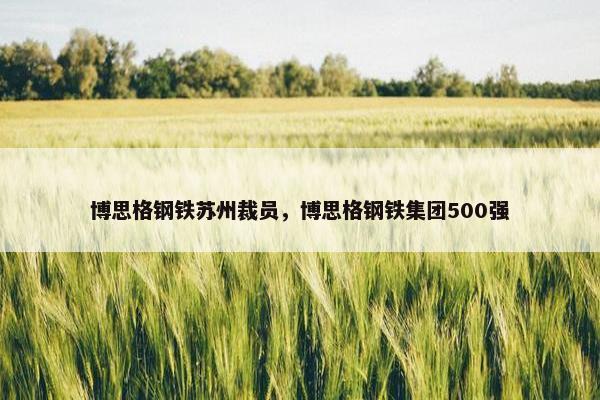 博思格钢铁苏州裁员，博思格钢铁集团500强