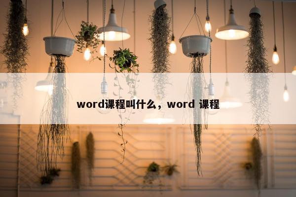 word课程叫什么，word 课程