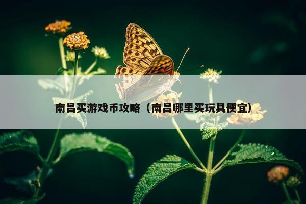 南昌买游戏币攻略（南昌哪里买玩具便宜）