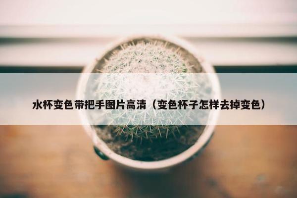 水杯变色带把手图片高清（变色杯子怎样去掉变色）