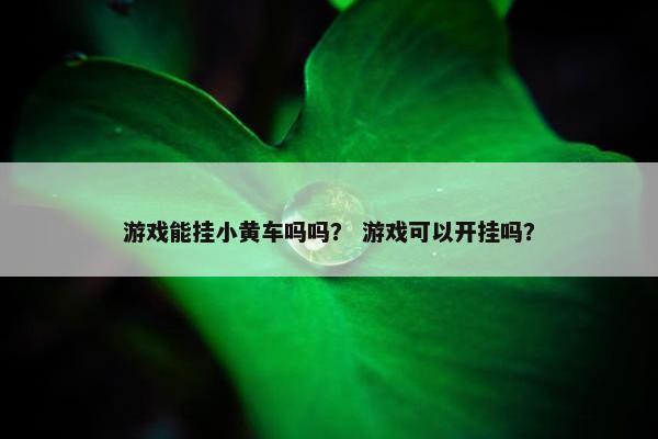 游戏能挂小黄车吗吗？ 游戏可以开挂吗？