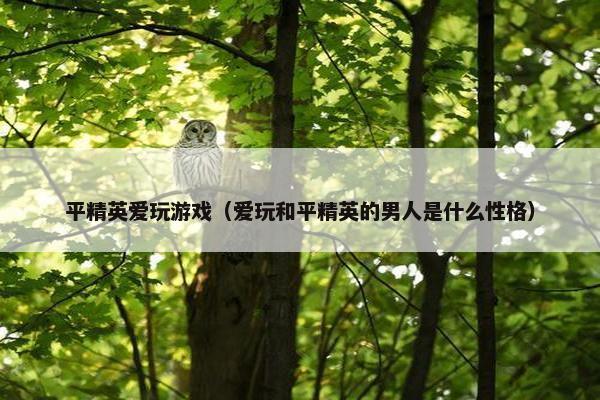 平精英爱玩游戏（爱玩和平精英的男人是什么性格）