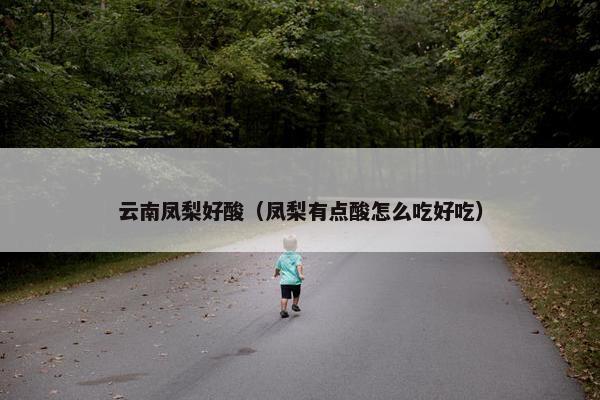 云南凤梨好酸（凤梨有点酸怎么吃好吃）