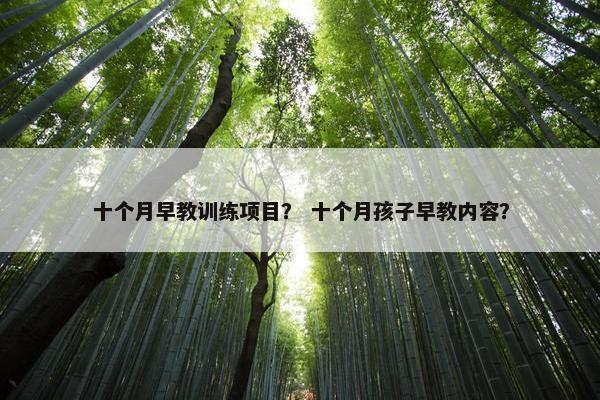 十个月早教训练项目？ 十个月孩子早教内容？