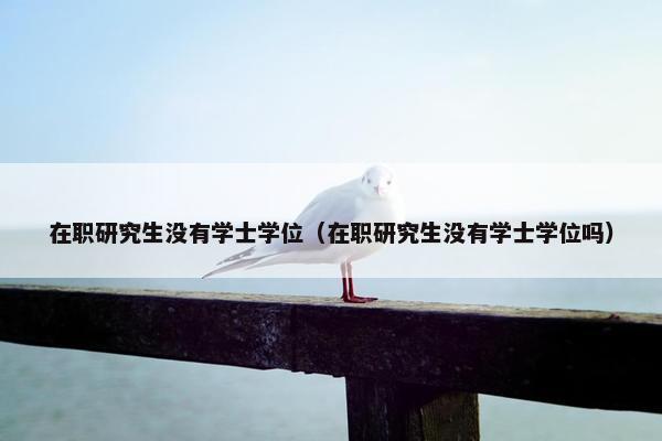 在职研究生没有学士学位（在职研究生没有学士学位吗）
