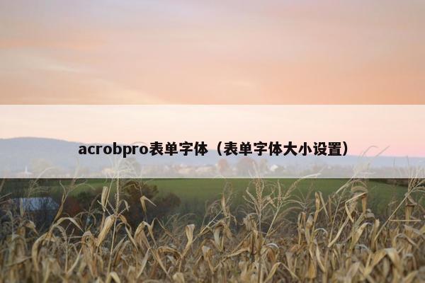 acrobpro表单字体（表单字体大小设置）