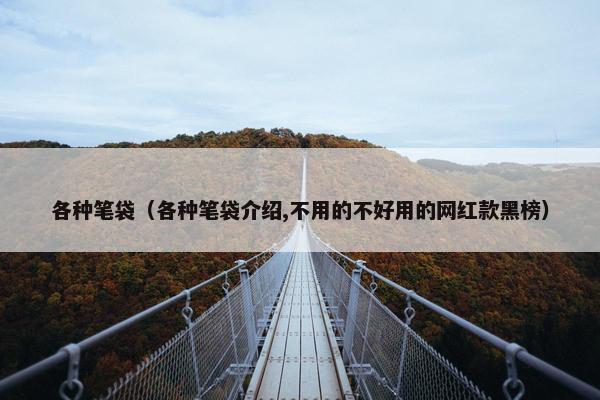 各种笔袋（各种笔袋介绍,不用的不好用的网红款黑榜）
