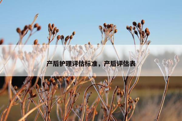 产后护理评估标准，产后评估表
