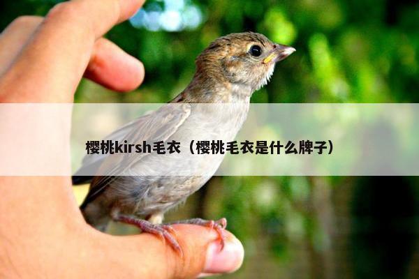 樱桃kirsh毛衣（樱桃毛衣是什么牌子）