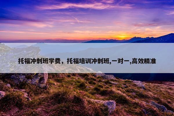 托福冲刺班学费，托福培训冲刺班,一对一,高效精准