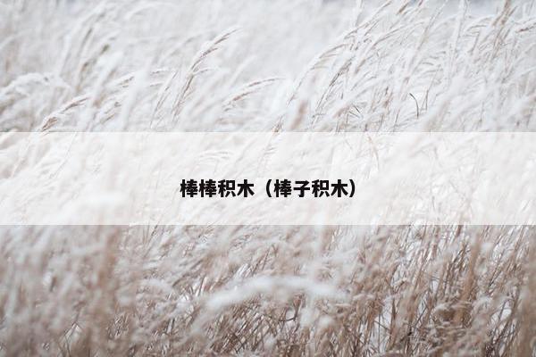 棒棒积木（棒子积木）