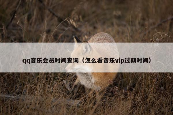 qq音乐会员时间查询（怎么看音乐vip过期时间）