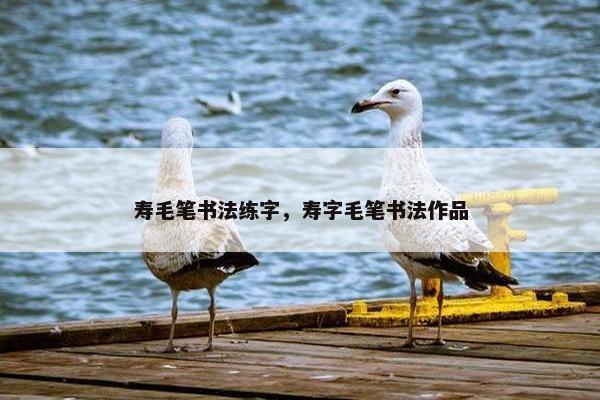 寿毛笔书法练字，寿字毛笔书法作品